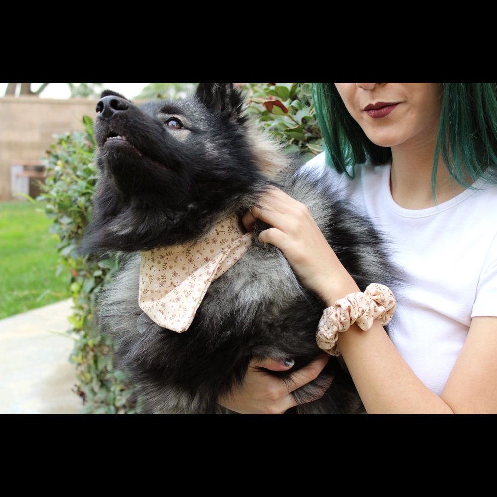 Matching Dog Bandana and Hair Scrunchie Set